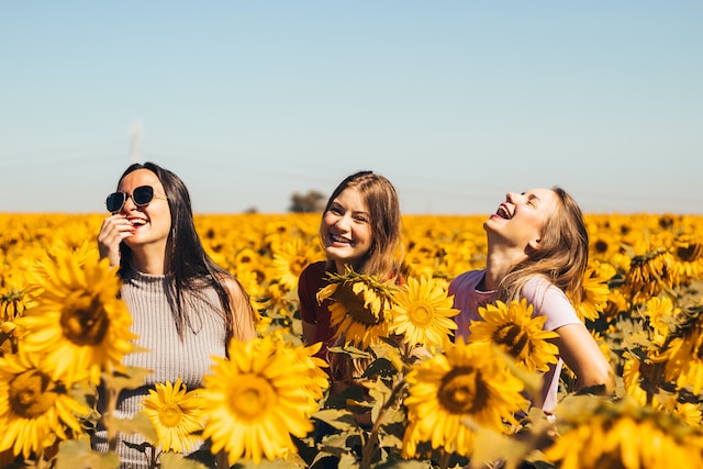 three happy girls smiling and laughing in the sunflowers