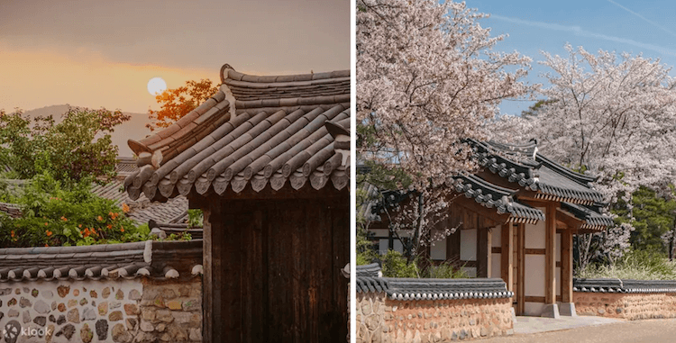 Gyeongju Cherry Blossom One-day Tour from Busan